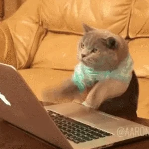 Hard working programmers