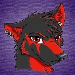 TheFurWolf TheFurWolf