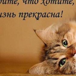 Светлана Платонова